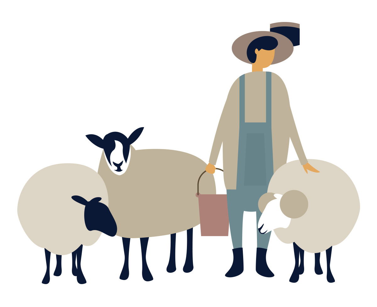Farmer surrounded by sheep