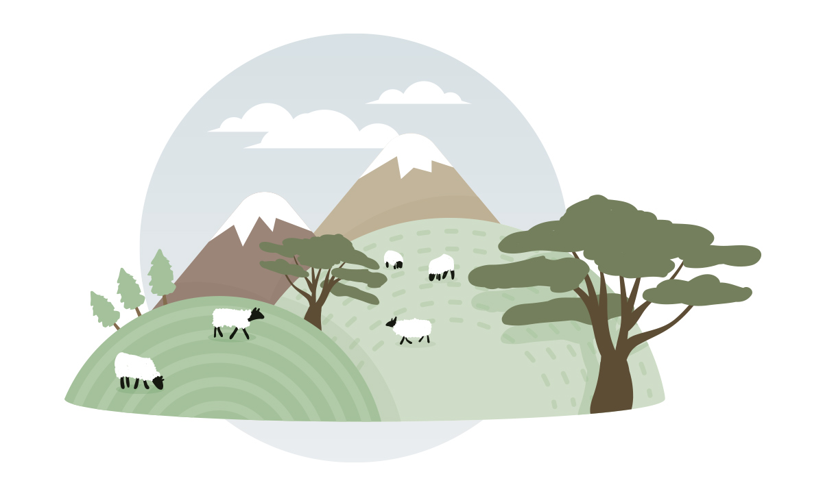 Sheep among hills and mountains grazing.